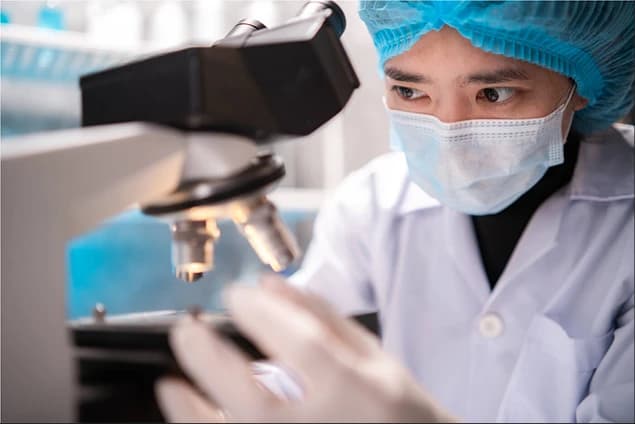 Innovating To End Malaria